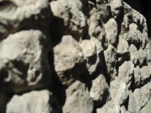 Omotossicolgia e herpes zoster Omotossicolgia e herpes zoster